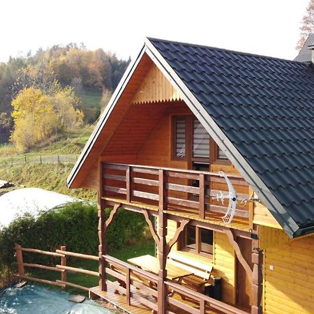 Domek Dzikusowka 1 Bieszczady Solina Polanczyk Zawoz Cisna Gorzanka Zewnętrze zdjęcie